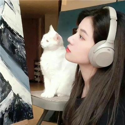 女皮条客
